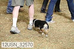 12usn_32570 thumbnail