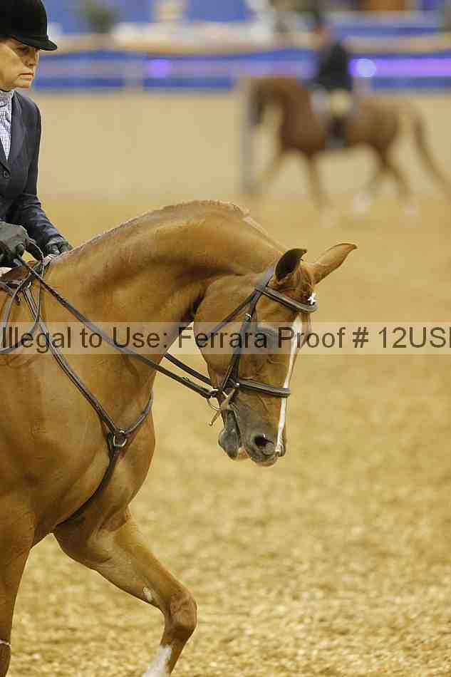 Proof Number 12usn_00121