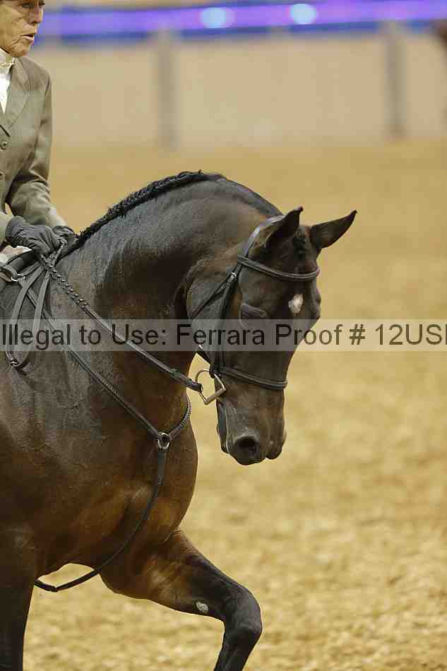 Proof Number 12usn_00239