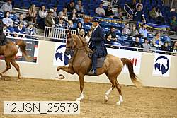 12usn_25579 thumbnail