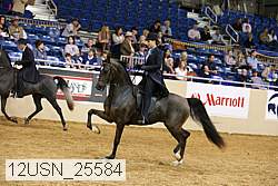 12usn_25584 thumbnail