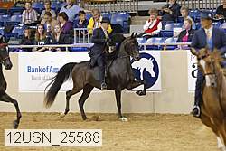12usn_25588 thumbnail