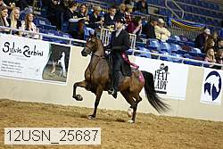 12usn_25687 thumbnail