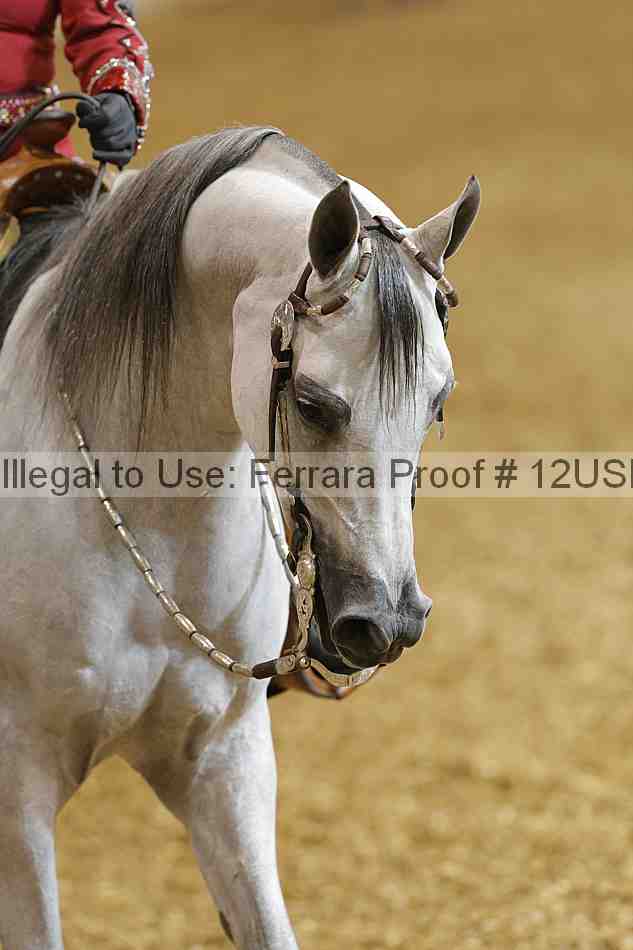 Proof Number 12usn_01195