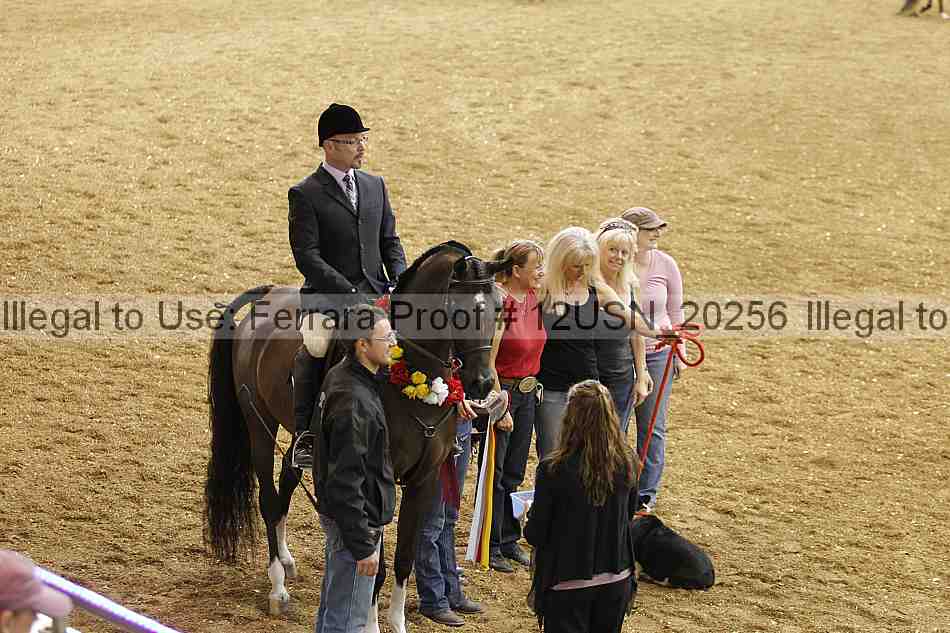 Proof Number 12usn_20256