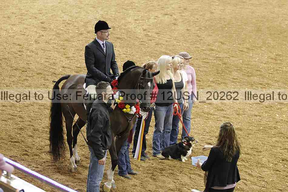 Proof Number 12usn_20262