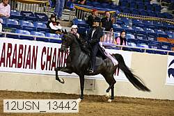12usn_13442 thumbnail