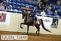 12usn_13446 thumbnail