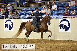 12usn_13534 thumbnail