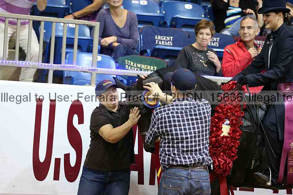 Proof Number 12usn_15636