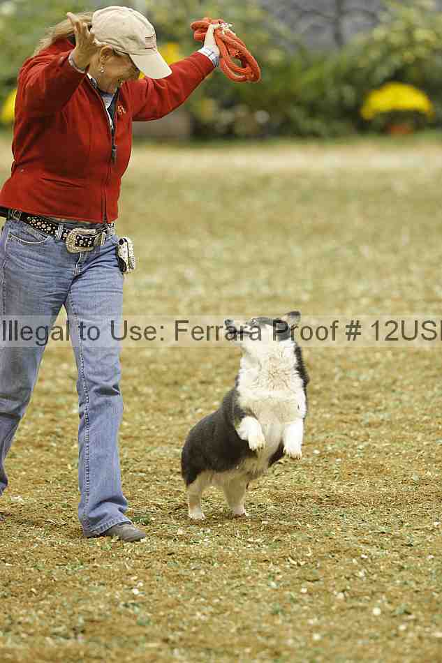 Proof Number 12usn_29936