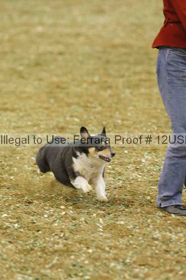 Proof Number 12usn_29937