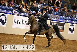 12usn_14422 thumbnail