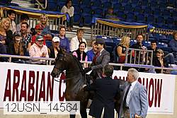 12usn_14564 thumbnail