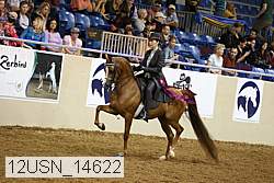 12usn_14622 thumbnail
