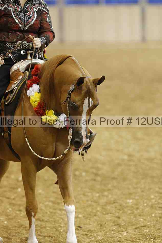 Proof Number 12usn_17440