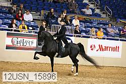 12usn_15896 thumbnail