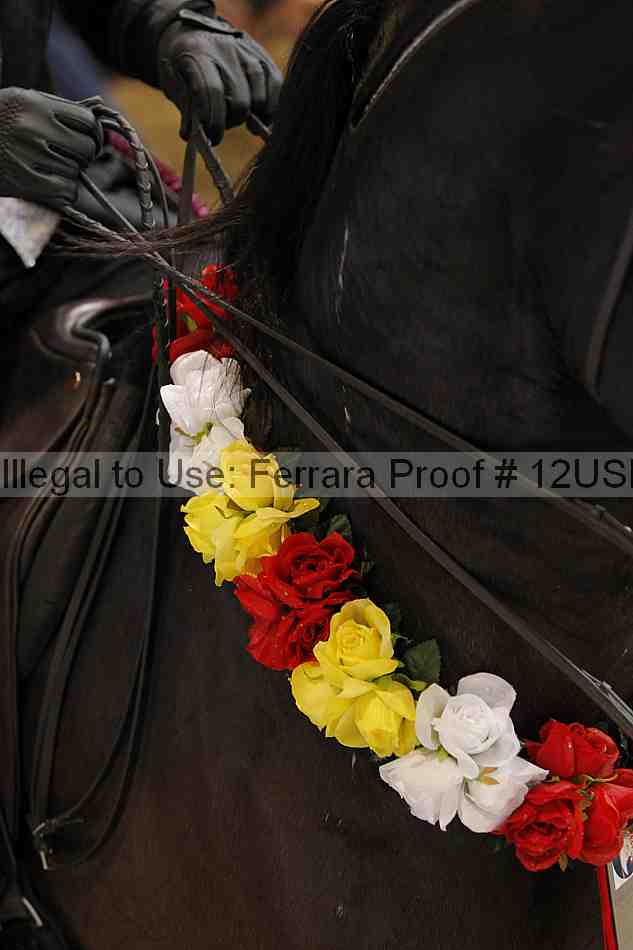 Proof Number 12usn_16014