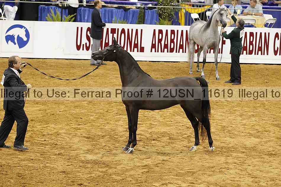 Proof Number 12usn_11619