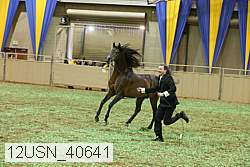 12usn_40641 thumbnail