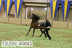 12usn_40642 thumbnail