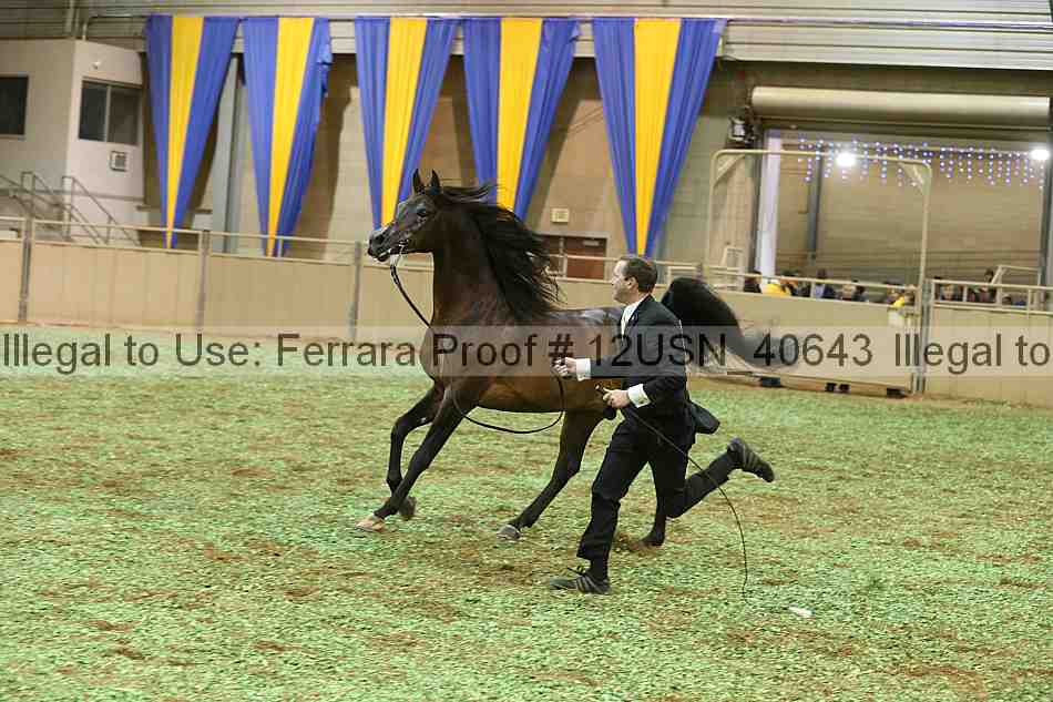 Proof Number 12usn_40643