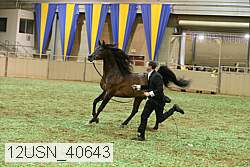 12usn_40643 thumbnail