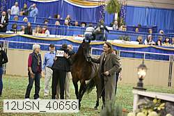 12usn_40656 thumbnail