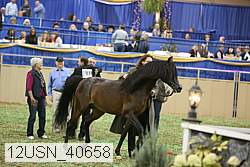 12usn_40658 thumbnail