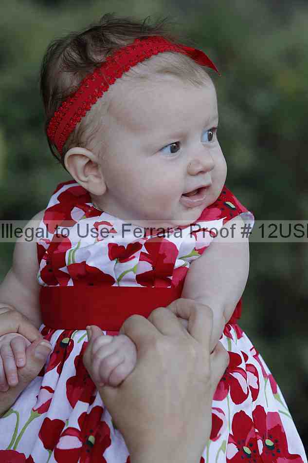 Proof Number 12usn_07643