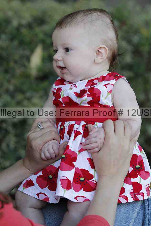 Proof Number 12usn_07645