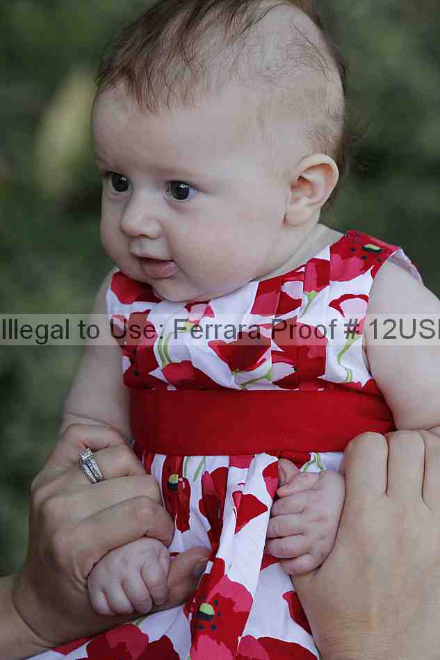 Proof Number 12usn_07646