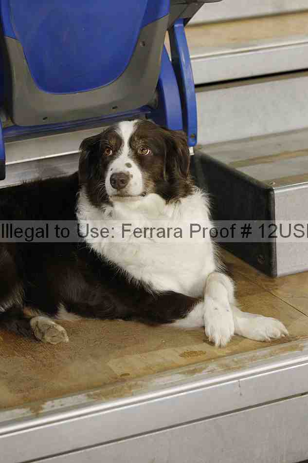 Proof Number 12usn_20377