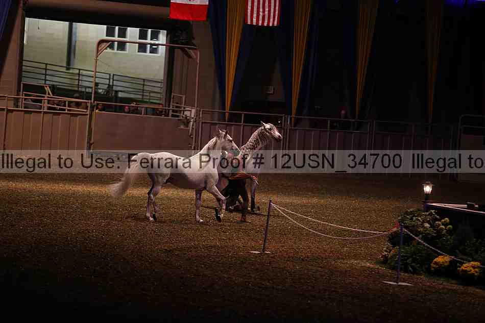 Proof Number 12usn_34700
