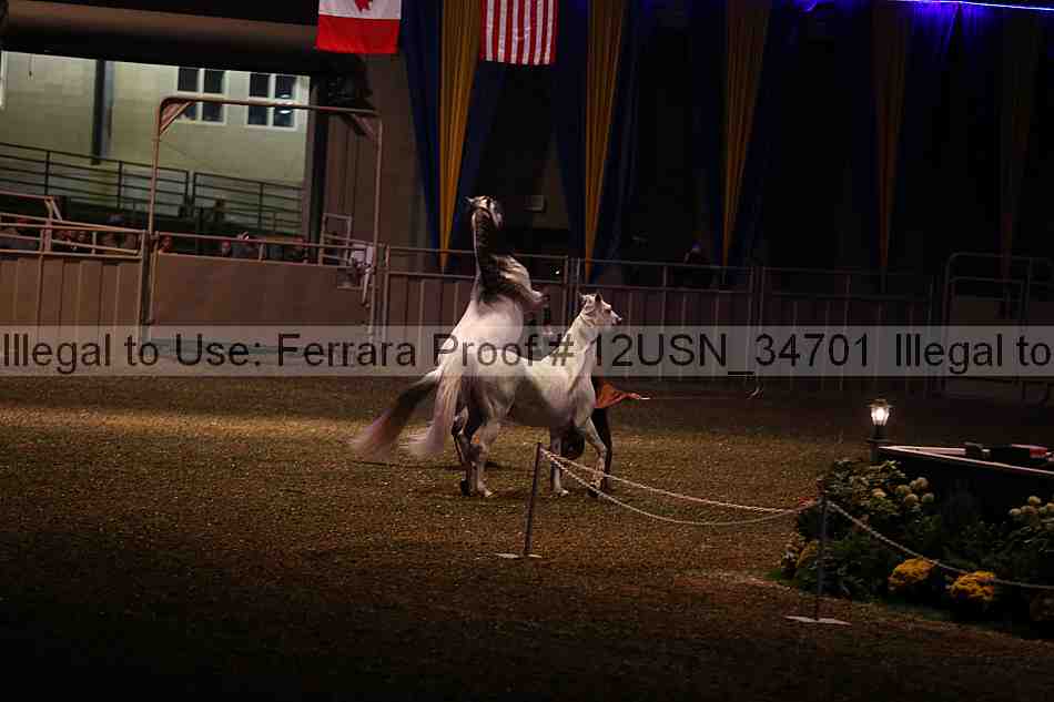Proof Number 12usn_34701