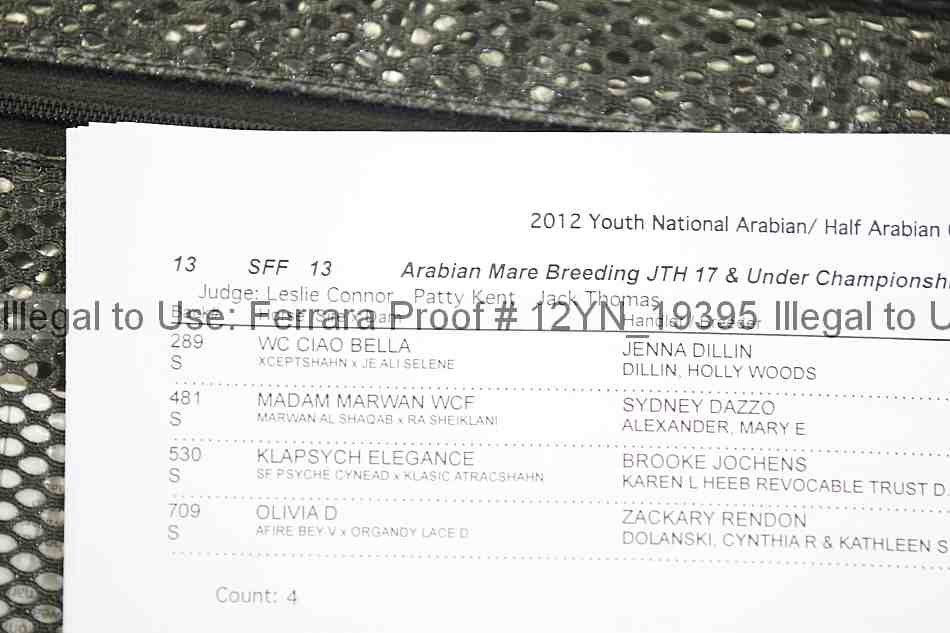 Proof Number 12yn_19395