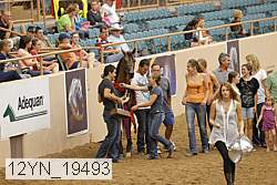 12yn_19493 thumbnail