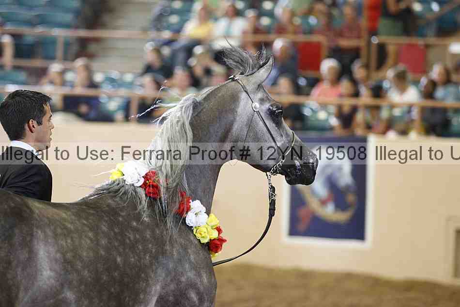 Proof Number 12yn_19508