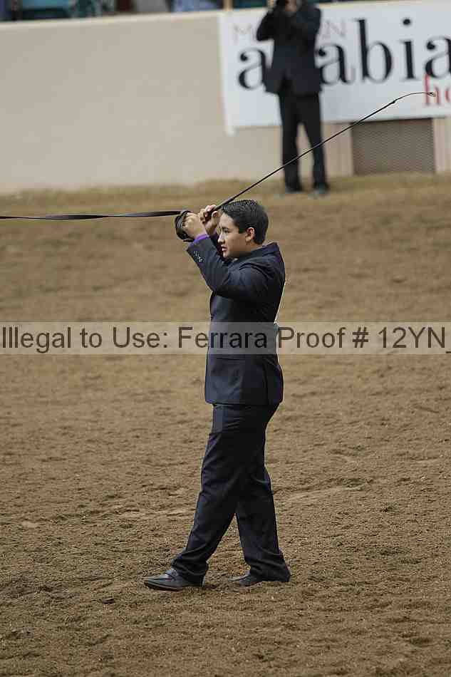 Proof Number 12yn_25113