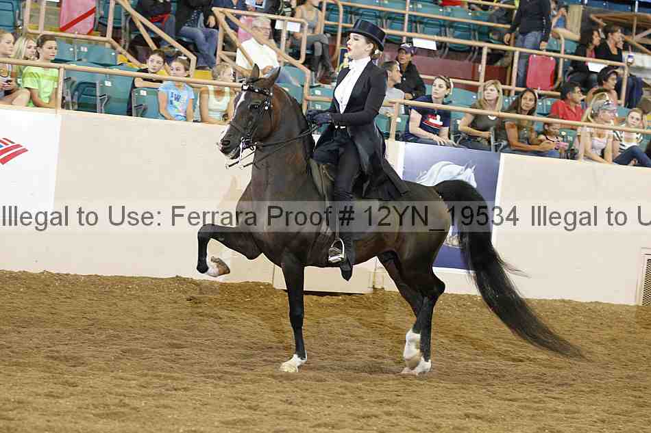 Proof Number 12yn_19534