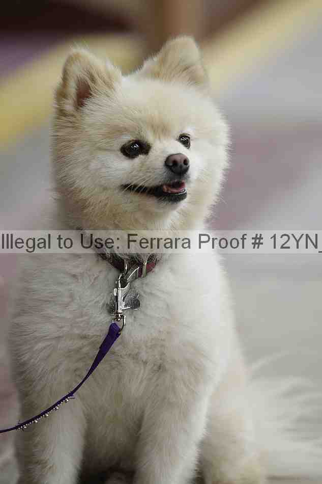 Proof Number 12yn_14878