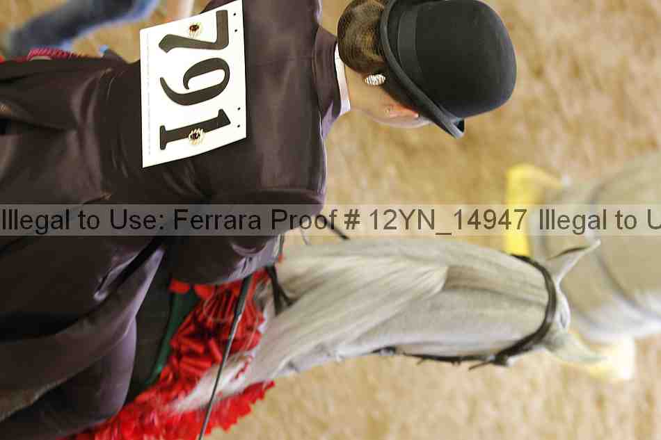 Proof Number 12yn_14947