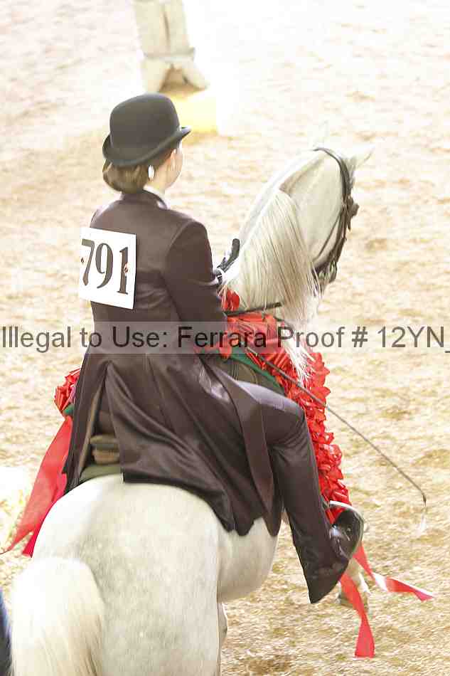 Proof Number 12yn_14948