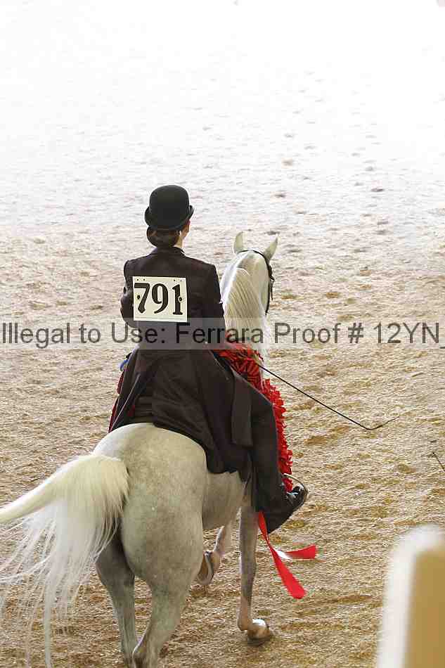 Proof Number 12yn_14949