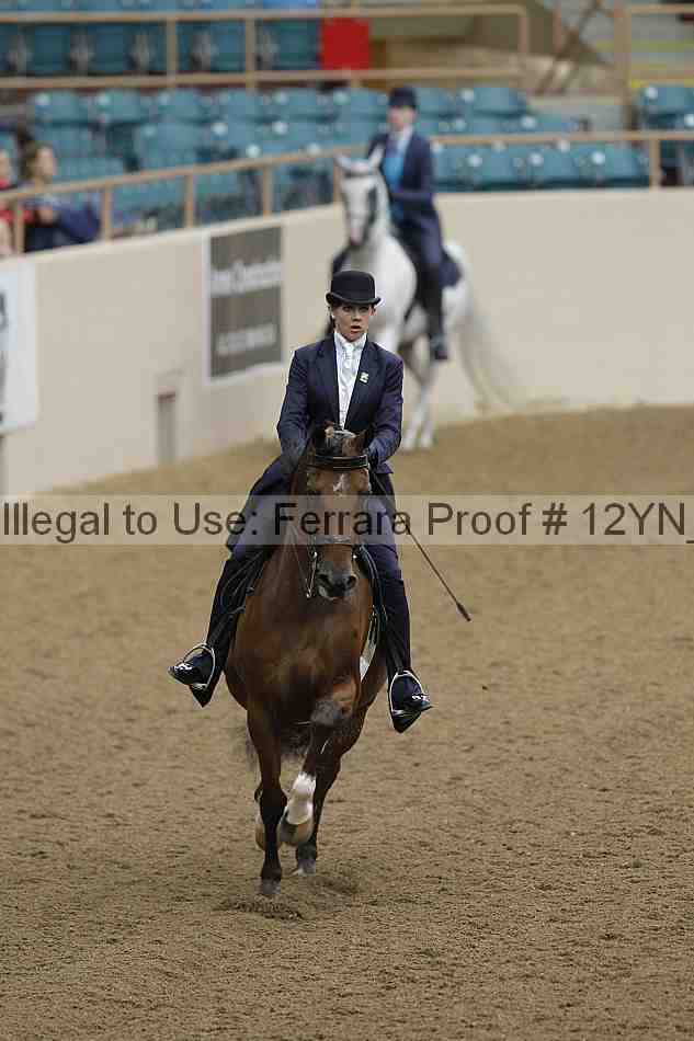 Proof Number 12yn_08027