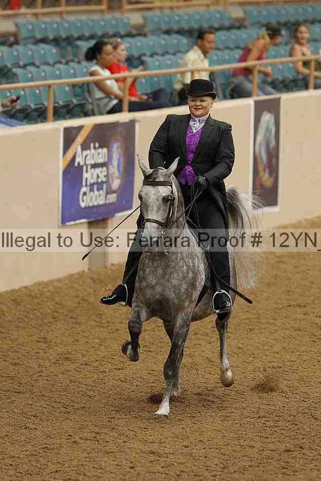 Proof Number 12yn_08046