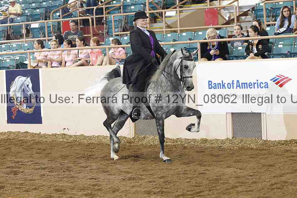 Proof Number 12yn_08062