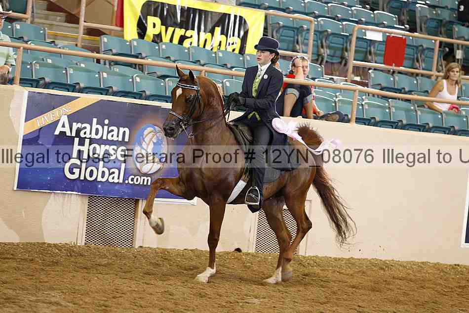 Proof Number 12yn_08076