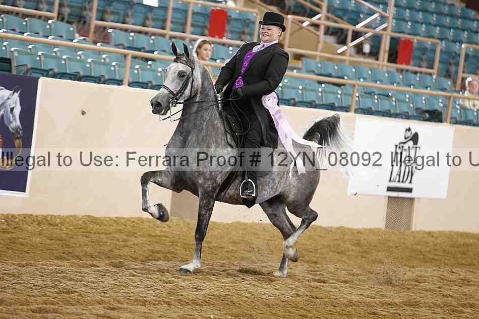 Proof Number 12yn_08092