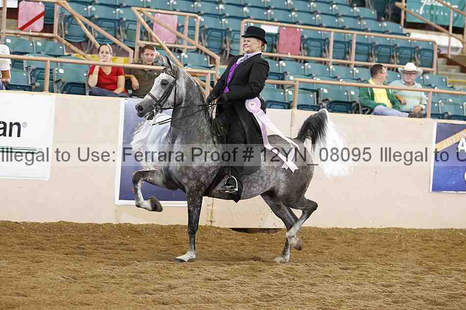 Proof Number 12yn_08095